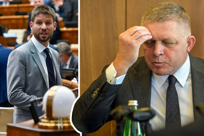 Ilustračný obrázok k článku KRITICKÉ slová Šimečku: Fico je pre ruského aj čínskeho prezidenta obyčajný smiešny BABRÁK